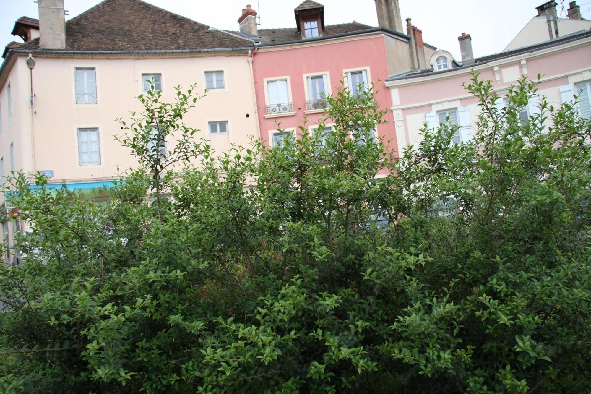 Appartement Haut De Gamme Centre Ville Chalon-sur-Saône Exterior foto